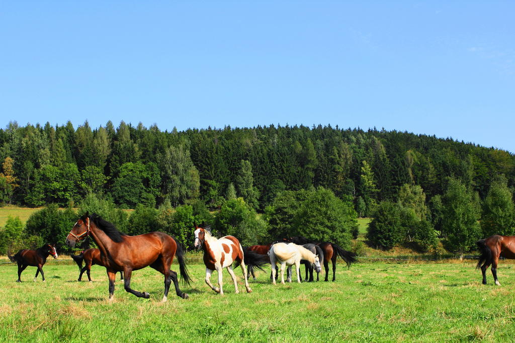 Villa La Val, Karkonosze Szarocin Luaran gambar