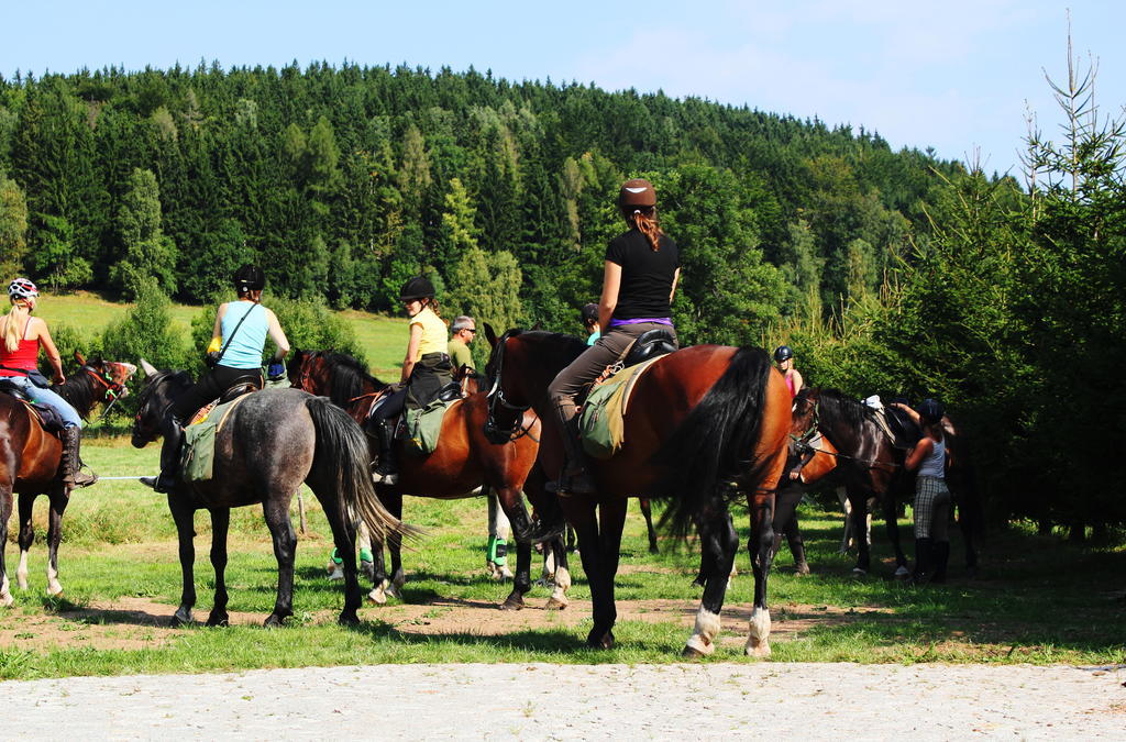 Villa La Val, Karkonosze Szarocin Luaran gambar