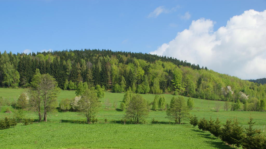 Villa La Val, Karkonosze Szarocin Luaran gambar
